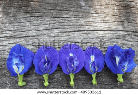 Pea flowers on wooden