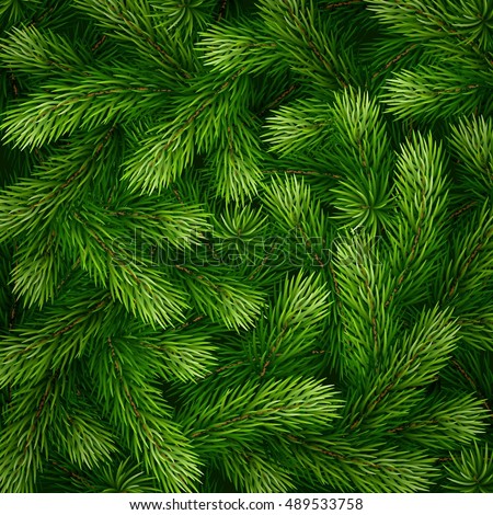 Detailed Christmas tree branches background