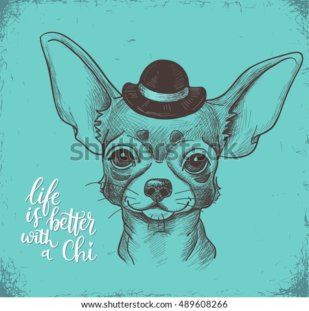 Boy Chihuahua illustration print. Cute fashionable dog vector sketch.