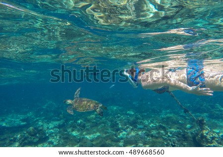 Snorkeling with sea turtle. Sea turtle in blue water over coral reef, Philippines, Apo island. Olive ridley turtle in sea. Sea turtle picture with girl swimming underwater. Snorkeling with sea animal