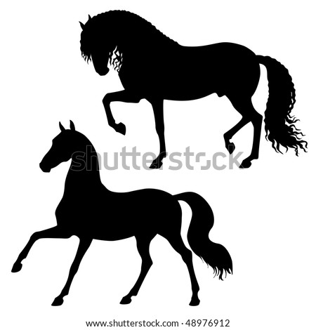 vector black horses isolated on a white background