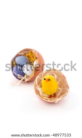 Natural easter eggs with yellow chicken
