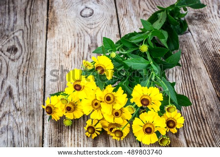 Helenium Flowers on Wooden Rustik Background Natural Photo