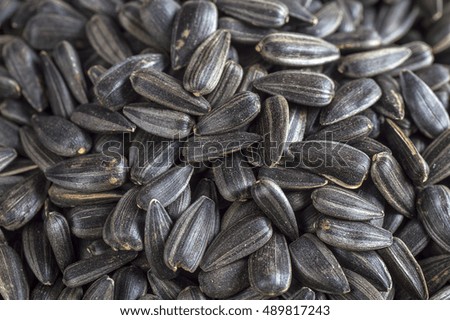 Black sunflower seeds. For texture or background. Helianthus annuus.