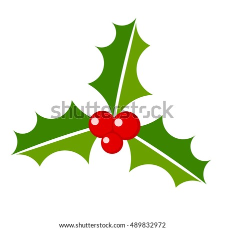 Christmas plant symbol holly berry. Vector illustration