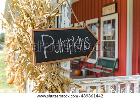 Vintage wooden board with Pumpkins word sign at entrance of red barn with dried corn stalks straw and bright orange pumpkin. Rural scene at La Grange, TX, USA. Fall, Halloween, Thanksgiving concept.