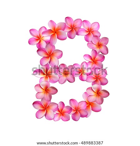 Plumeria Flower Letter B