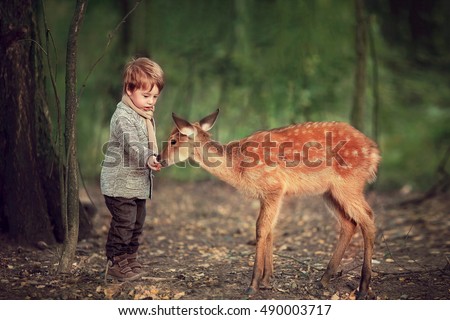 Cute little boy is feeding a baby fawn in the forest.  Image with selective focus and toning