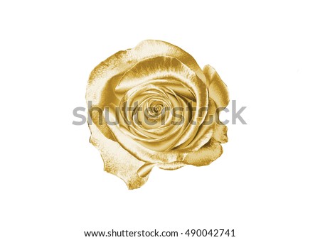 
Golden Rose