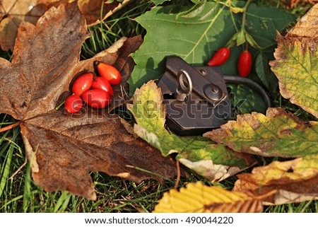 rose hip with padlock and leaves