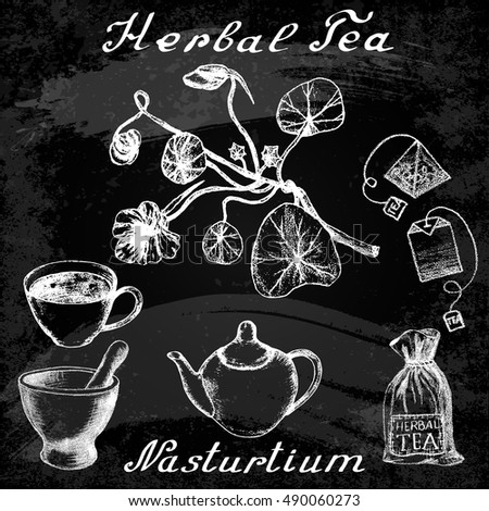 Nasturtium hand drawn sketch botanical illustration. Utensils for tea. Vector illustation. Medical herbs. Effect of chalk board. Grunge background
