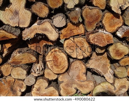 A neatly stacked wood pile creating a beautiful rustic design ready for firewood burning.