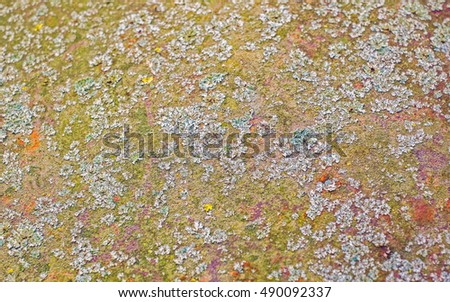 Old rusty metal plate texture background, with lichen and moss.