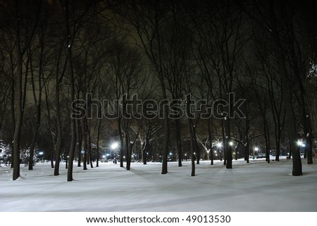 Winter landscape of city park at night