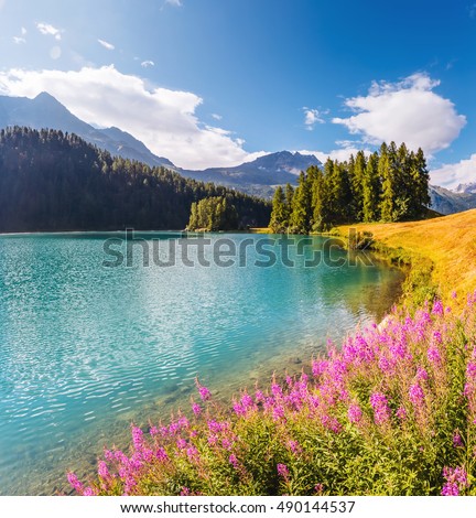 Great view of the azure pond Champfer in alpine valley. Popular tourist attraction. Picturesque and gorgeous scene. Location Swiss alps, Silvaplana village, district of Maloja, Europe. Beauty world.