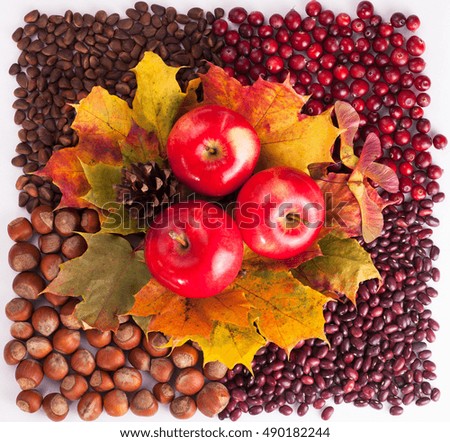 Happy thanksgiving background images. Thanksgiving beautiful food image. This is a picture for designers and print.