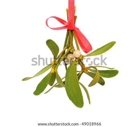 Mistletoe bunch hanged on red ribbon over white background.