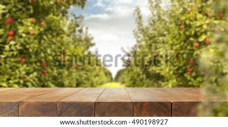 wooden table of space for your decoration and trees of apples 