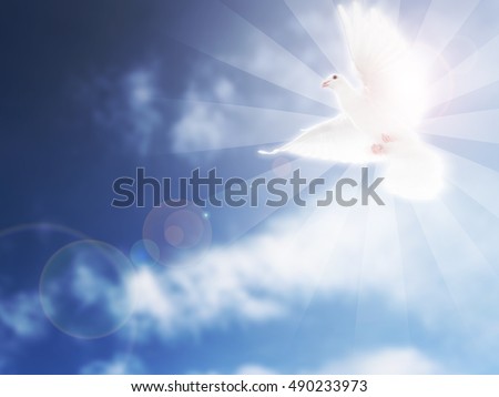 Dove in the Sky Funeral Image Royalty-Free Stock Photo #490233973