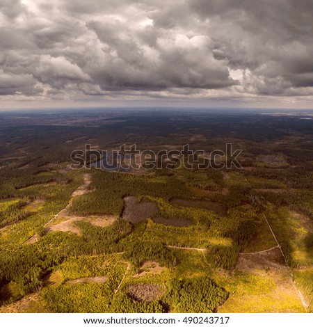 Beautiful panoramic photo of the forest right up to the horizon line. Aerial view. From above. Picture taken using the copter.