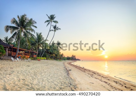 Sunset beach with white sand and tall palms Royalty-Free Stock Photo #490270420