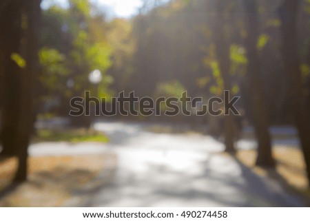Atmosphere in the park. Abstract image. Blurry
