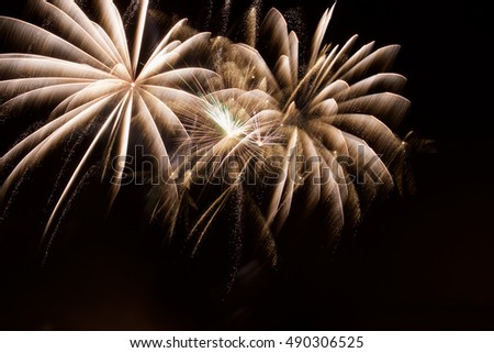 Blurry picture, fireworks, night, celebration, fun, pyrotechnics, fountain, Chinese wheel, Roman Candle, rocket