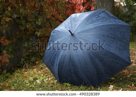 Autumn. Rainy weather. Rain drops on a blue umbrella, Raining.