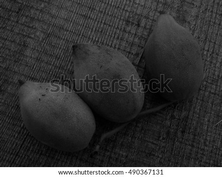 Manchurian walnut in black and white image