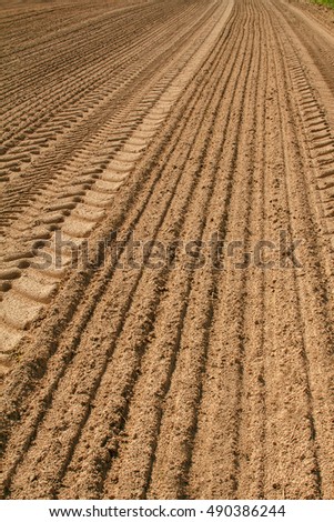 The plowed field. Furrow go to the horizon. The sowing of winter crops. Agricultural work. Sandy soil. Loam. Poor soils.