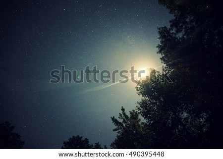 Bright Moon in the Sky