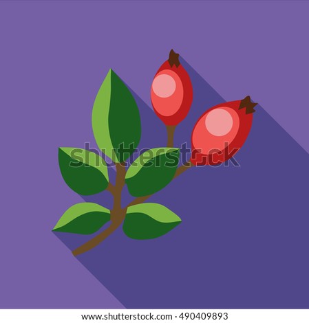 Rosehip branch with red berries icon in flat style isolated with long shadow vector illustration