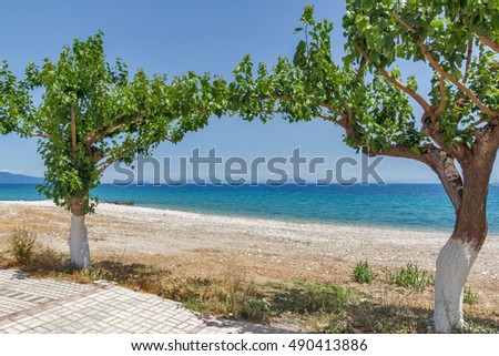 Beach and trees on the beach of Poros, Kefalonia, Ionian Islands, Greece