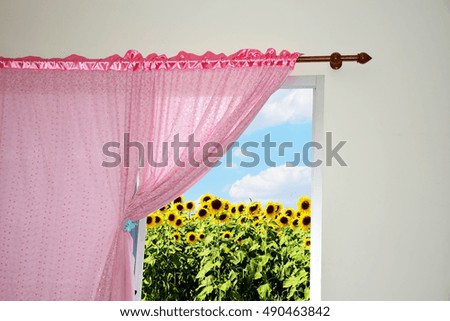 Sunflowers field outside the  window