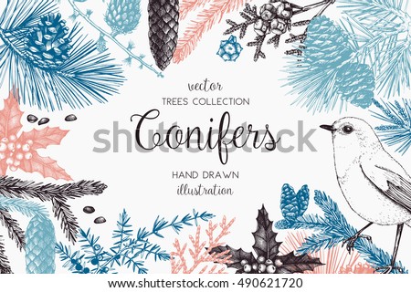 Christmas greeting card or invitation design. Vector frame with hand drawn conifers sketch. Vintage background with pine, spruce, cedar, cypress, fir, larch and juniper illustration. Royalty-Free Stock Photo #490621720