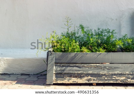 old wooden gray flowerpot against white wall