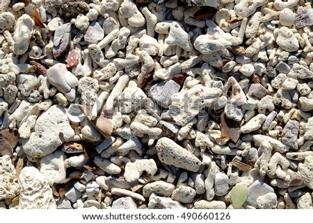 Several fragments of coral shaped island beach in Thailand.