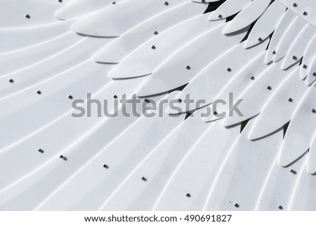 white plastic wings, white background, black background