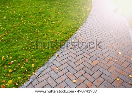 Autumn path with fallen leaves  sunny hotspot