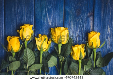 Yellow roses flowers on blue grunge wood.