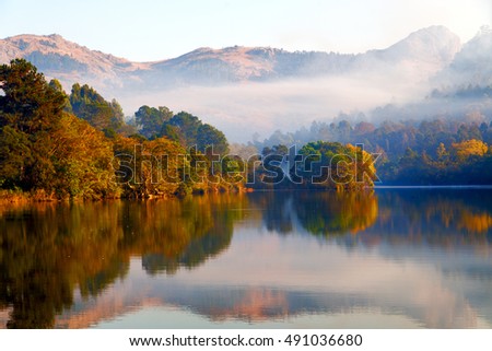 in swaziland the mlilwane wildlife sanctuary and his lake near tree and fog Royalty-Free Stock Photo #491036680