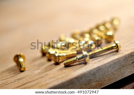 Closeup metal screw (bolt) and nuts, golden color
