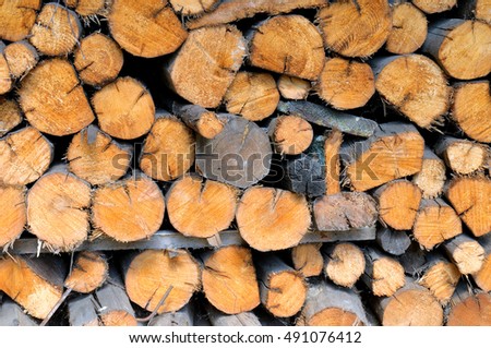 Pile of round firewood for the furnace.
