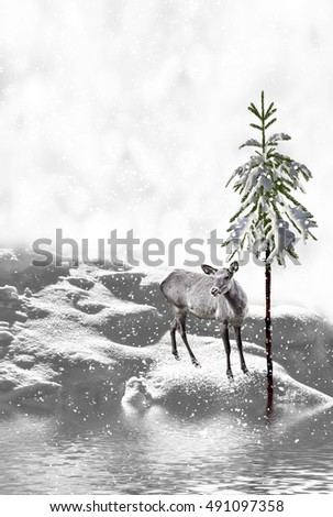  forest in the frost. Winter landscape. Snow covered trees. deer