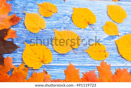 Autumn leafs on a blue wooden table