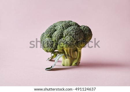 Broccoli isolated on pink background. Modern style of vegetables, hipster design elements