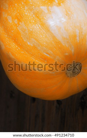 orange pumpkin close-up on a wooden table