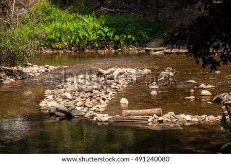 Small river flowing through forest