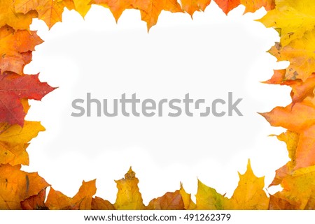 Frame made of colorful leaves