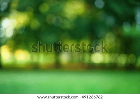 park summer blur bokeh background